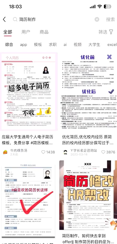 AI简历代制作项目，长期稳定赛道，一天变现300+(6)