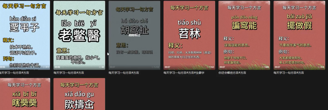 视频号方言教学项目，小众冷门赛道，一天200+(3)