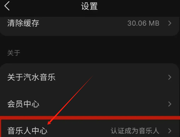 汽水音乐人计划，原创音乐=月入5000+(5)