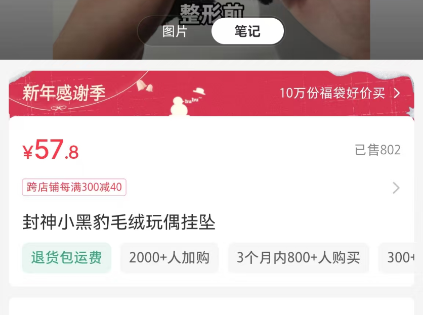 1 个月卖了 5w，小红书 AI毛绒玩偶带货玩法教程来了(3)