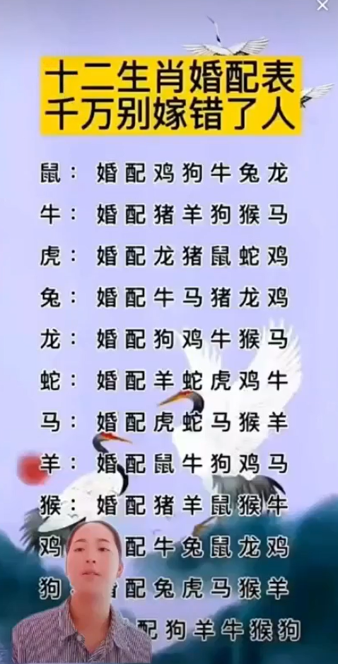 抖音无人直播项目，从入门到实操，手把手教你上手(3)