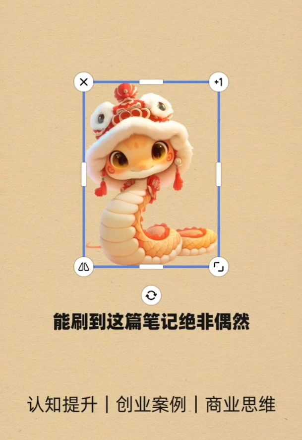 小红书暴力引流项目拆解，一天轻松变现200+(4)