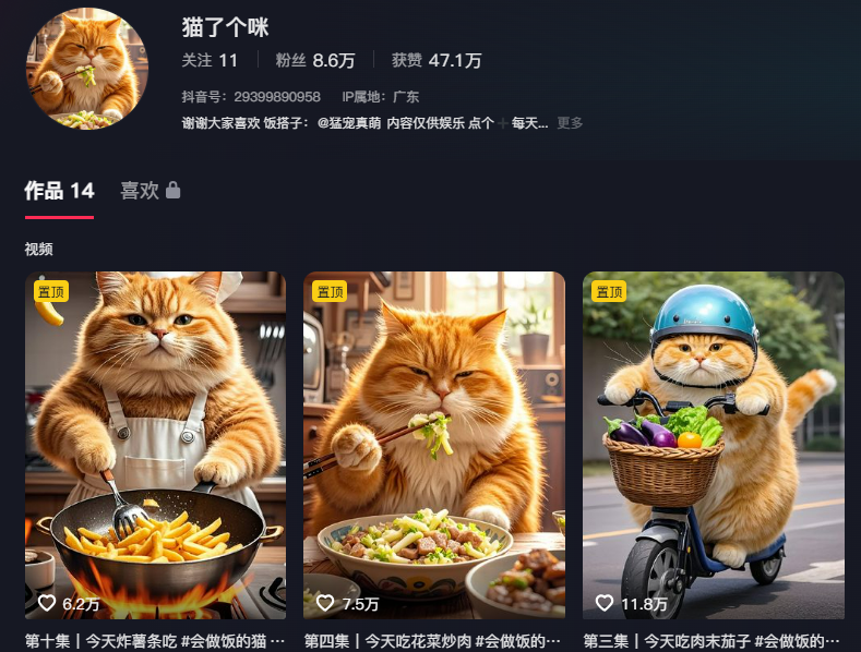 宠物猫咪做饭视频，单条作品轻松破百万，保姆级教程来了(1)