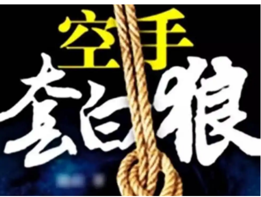 2025年空手套白狼年赚100万的赚钱方法！(1)