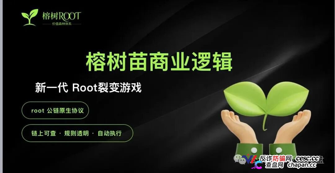 榕树ROOT用8160元树苗骗你拉人头！P5级别11天赚400万全是后台改的数据