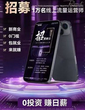 紫光私域招募运营师！日入200元以上！当天赚钱！免费带！